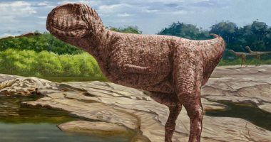 توثيق حفرية ديناصور مفترس عاش قبل 98 مليون عام بالواحات البحرية