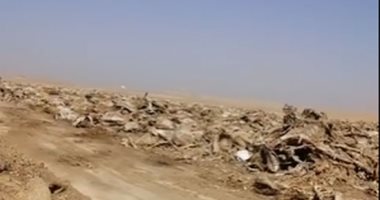 متحدث محافظة الفيوم: رصدنا استغاثات من مواطنين بوجود مقبرة للحمير