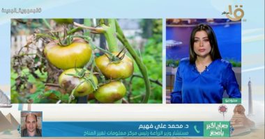 مستشار وزير الزراعة: الحفاظ على محاصيل الصيف من الحشرات بمركبات طبيعية