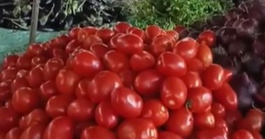 الطماطم والخيار بـ 6 جنيهات.. أسعار الخضراوات بالإسماعيلية.. لايف 