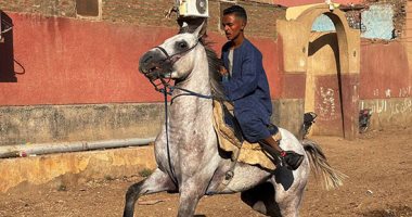 أقوى عروض للخيول فى الأقصر فى مرماح بمشاركة نجوم اللعبة بمدينة الزينية