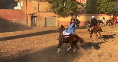 استمتع بعروض الخيول فى احتفالات أهالى مدينة الزينية بالأقصر.. فيديو