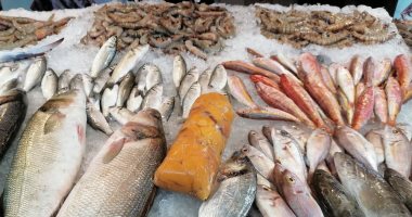 بيع الأسماك على أنغام السمسمية فى سوق بورسعيد الحضارى.. لايف وصور