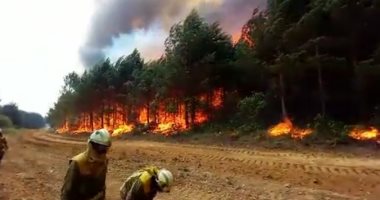 صحيفة: زامورا أكبر حريق فى إسبانيا منذ 10 سنوات يتسبب فى أضرار كبيرة للحيوانات