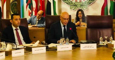 الجامعة العربية: لا يمكن بلوغ التنمية المستدامة دون إعلام فاعل