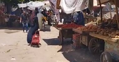 صباح الخضار الطازة.. البطاطس والطماطم بـ4 جنيهات فى سوق الخضار بالمنيا