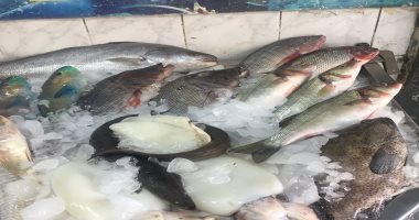 تعرف على أسعار السمك اليوم فى الأسواق.. البلطى الأسوانى ما بين 20 و45 جنيها