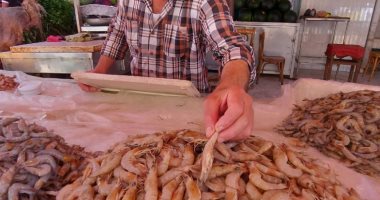 مملكة السمك .. انتعاش سوق الأسماك فى الإسكندرية والإسماعيلية
