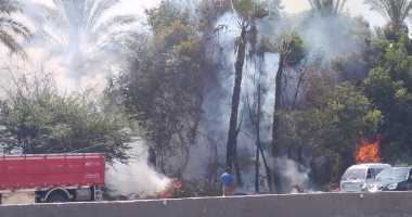 نشوب حريق بعدد من الأشجار والنخيل بطريق القاهرة الإسكندرية بطوخ