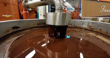 السالمونيلا تتسبب في توقف إنتاج أكبر مصنع شوكولاتة في العالم.. اعرف القصة