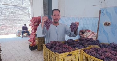 كيلو الطماطم بـ3 جنيه بس والبطاطس بـ4.. جولة داخل أحد الأسواق بالمنوفية.. فيديو