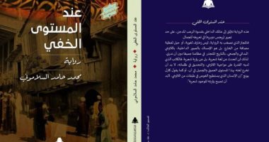 هيئة الكتاب تصدر رواية عند المستوى الخفى لـ محمد حامد السلامونى