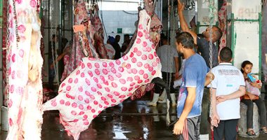 شعبة القصابين تكشف تطورات أسعار اللحوم في الأسواق اليوم