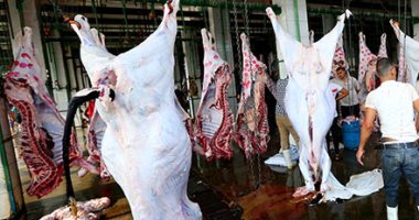 شعبة القصابين: كيلو اللحوم البلدي بـ 160 جنيها للمستهلكين فى الأسواق
