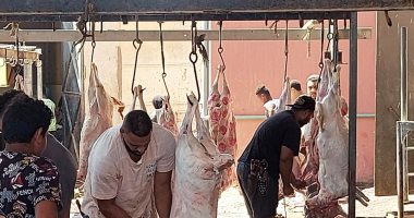 ذبح 360 أضحية بمجازر كفر الشيخ للمواطنين بالمجان ثالث أيام عيد الأضحى