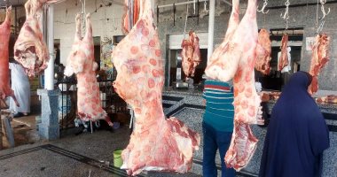 استقرار أسعار اللحوم البلدى اليوم الأربعاء عند 160 جنيها للمستهلكين فى الأسواق