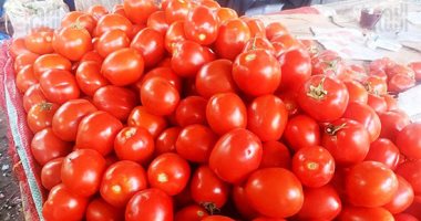 أسعار الخضراوات فى سوق الجملة اليوم.. كيلو الطماطم من 3.75 إلى 6 جنيهات