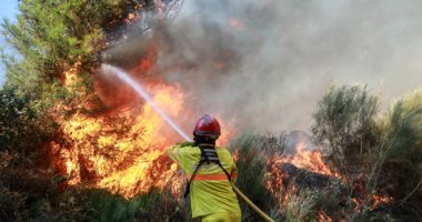 استمرار حرائق الغابات شمالي المغرب وفرق الإطفاء والجيش تكثف جهودها