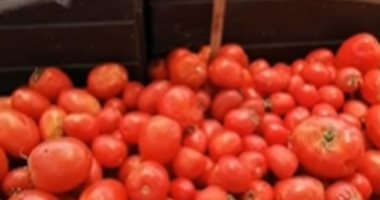 الطماطم بجنيه والبصل بـ2.. اعرف أسعار الخضروات فى وقفة العيد ببورسعيد.. فيديو