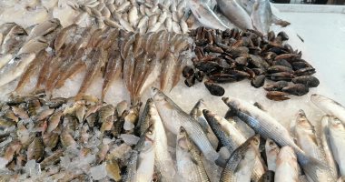 أسعار الأسماك فى مصر اليوم الخميس 28-7-2022