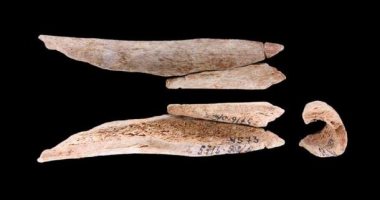 دراسة فنلندية تكشف استخدام عظام بشرية فى صناعة المجوهرات خلال العصر الحجرى