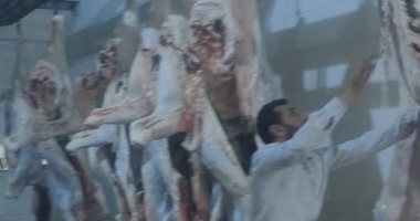 "تضامن الإسماعيلية" تعلن ذبح 52 رأس ماشية خلال عيد الأضحى المبارك.. صور