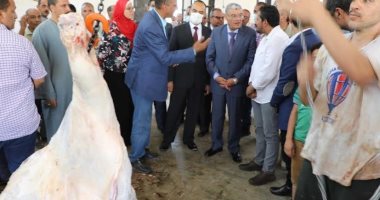 محافظ المنيا: المجازر الحكومية تستقبل 1292 رأس ماشية متنوعة