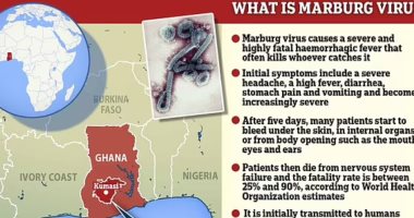 الصحة العالمية تحذر من فيروس ماربورج الأكثر فتكا.. يحول المرضى لـ"أشباح"