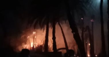 الدفاع المدنى بالوادى الجديد يسيطر على حريق فى مزرعة دون إصابات.. صور