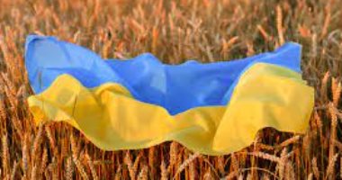 منسق مبادرة حبوب البحر الأسود: الصادرات الأوكرانية تجاوزت المليون طن