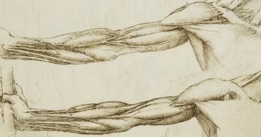 كيف اكتشف ليوناردو دافنشى جمال علم التشريح؟