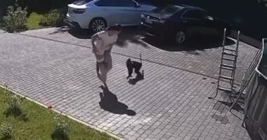 قرد يهاجم طفلة أوكرانية فى موسكو ويحاول خطفها من والدتها.. فيديو