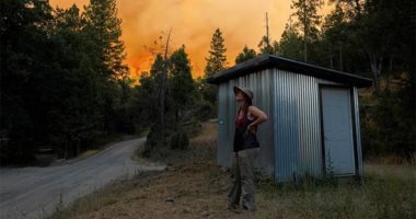 شبح حرائق كاليفورنيا يلتهم أكبر الأشجار العملاقة بالعالم 