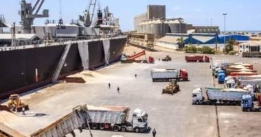 20 ألف طن بضائع إجمالي حركة الصادرات اليوم بميناء دمياط 