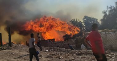 محافظ الوادى الجديد: السيطرة على حريق نخيل بقرية الراشدة على مساحة 20 فدانا