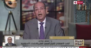 باحث اقتصادى: الحكومة المصرية تشغل 5 ملايين موظف برواتب 400 مليار جنيه سنويا