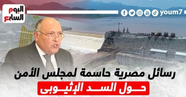 رسائل مصرية حاسمة لمجلس الأمن حول السد الإثيوبى.. إنفوجراف