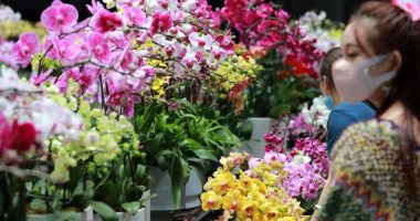 الصين تحتفل بعيد الحب مطلع أغسطس وازدهار سوق "الأزهار".. صور
