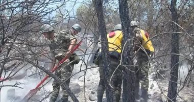 المغرب: الجيش يتدخل لإخماد حرائق الغابات فى إقليم العرائش