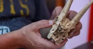السعودية: اكتشافات أثرية جديدة تعود للقرنين الثانى والثالث الميلاديين