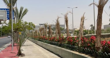 القابضة للمطارات: تطوير شبكة الطرق بمطار القاهرة وزيادة المساحات الخضراء 