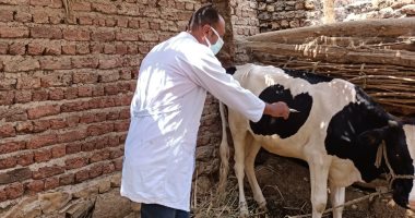وزير الزراعة: تحصين الماشية بـ5 ملايين جرعة ضد الحمى القلاعية والوادى المتصدع