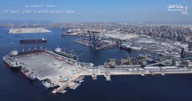 شاهد مراحل إنشاء محطة تداول الأخشاب بميناء الإسكندرية.. فيديو