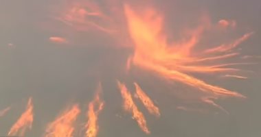 فيديو مروع لإعصار حريق فى شمال لوس أنجلوس