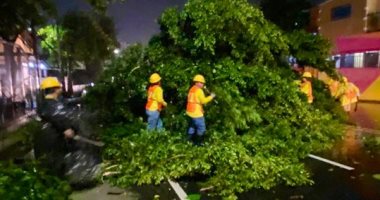 سقوط أشجار وانقطاع الكهرباء فى السلفادور بسبب الفيضانات.. صور وفيديو