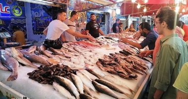 على نغمات الأغاني الشعبية.. الزبائن يرقصون مع البائعين في سوق أسماك بورسعيد.. صور
