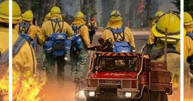 فرنسا تكافح حريقا ضخما لغابات بالقرب من بوردو بمساعدة 1000 رجل إطفاء (فيديو)