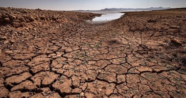 اتحاد الزراعيين الإيطاليين: تضرر المحاصيل والهياكل الزراعية جرّاء سوء الطقس