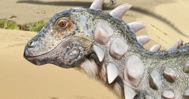 اكتشاف حفريات لأول ديناصور صغير "مدرع" في أمريكا اللاتينية عمره 100 مليون سنة.. صور