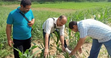 ضمن حياة كريمة.. جامعة قناة السويس تنظم قافلة تنموية بالقنطرة غرب بالإسماعيلية